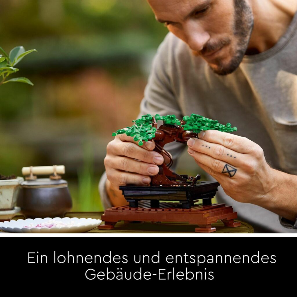 Produktabbildung Bonsai Baum