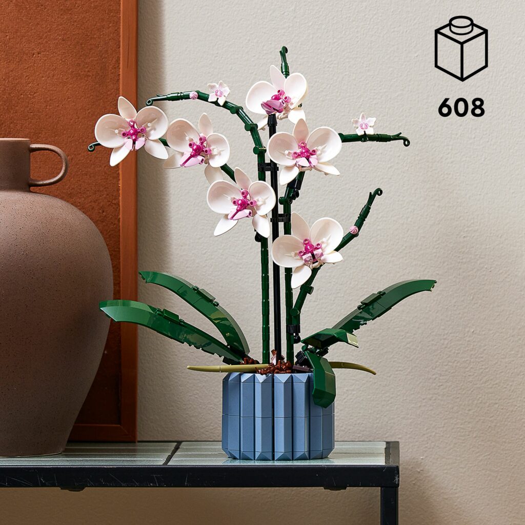 Produktabbildung Orchidee