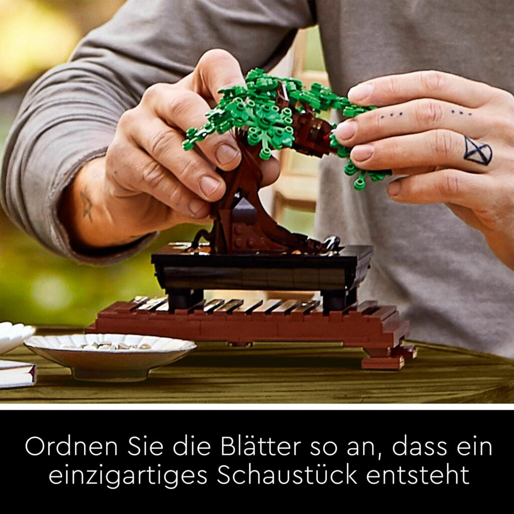 Produktabbildung Bonsai Baum