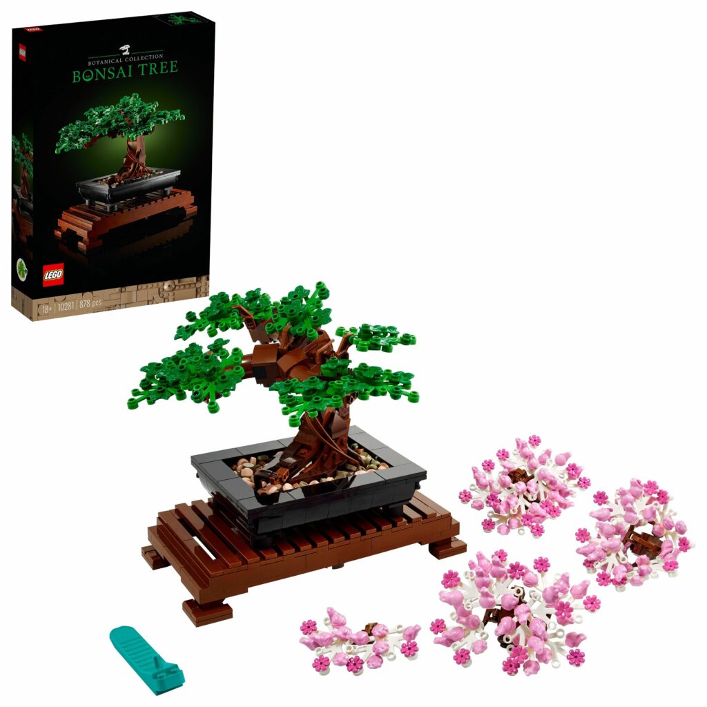 Produktabbildung Bonsai Baum