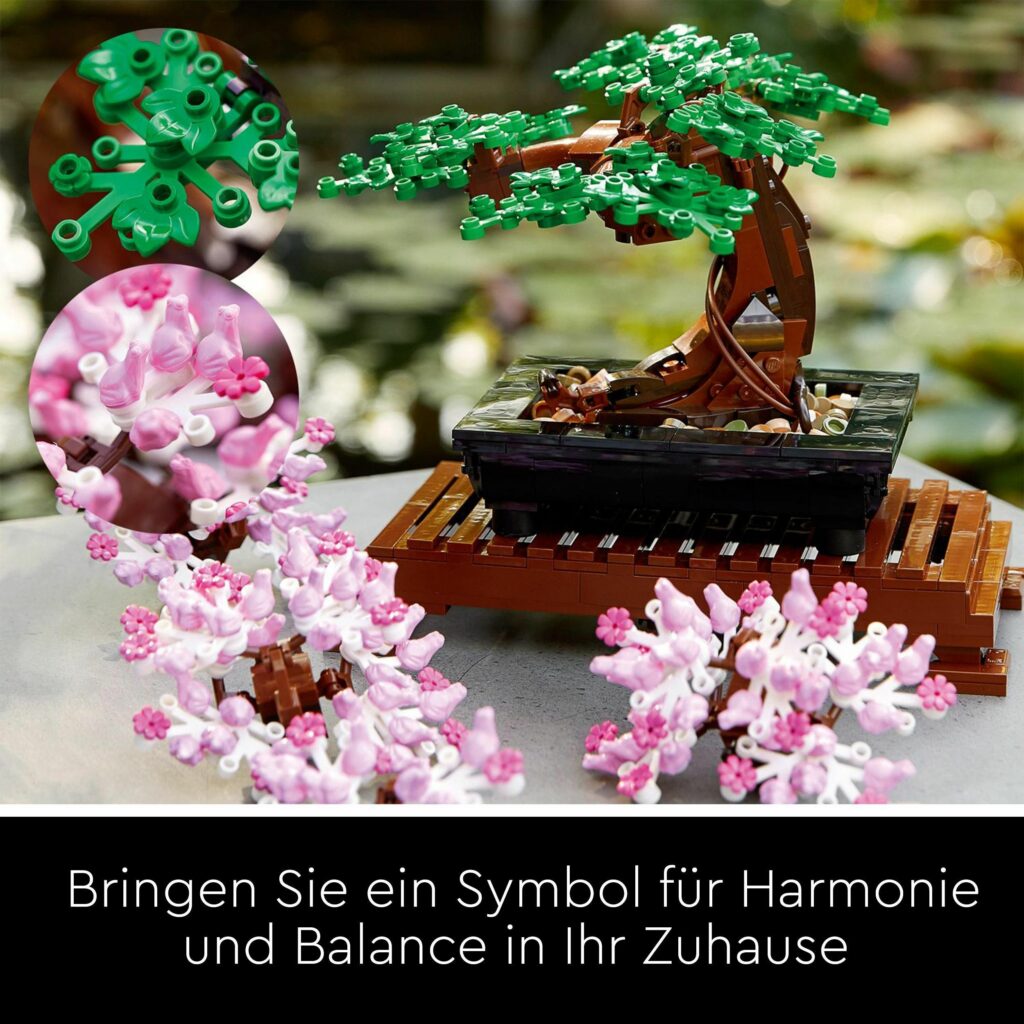 Produktabbildung Bonsai Baum