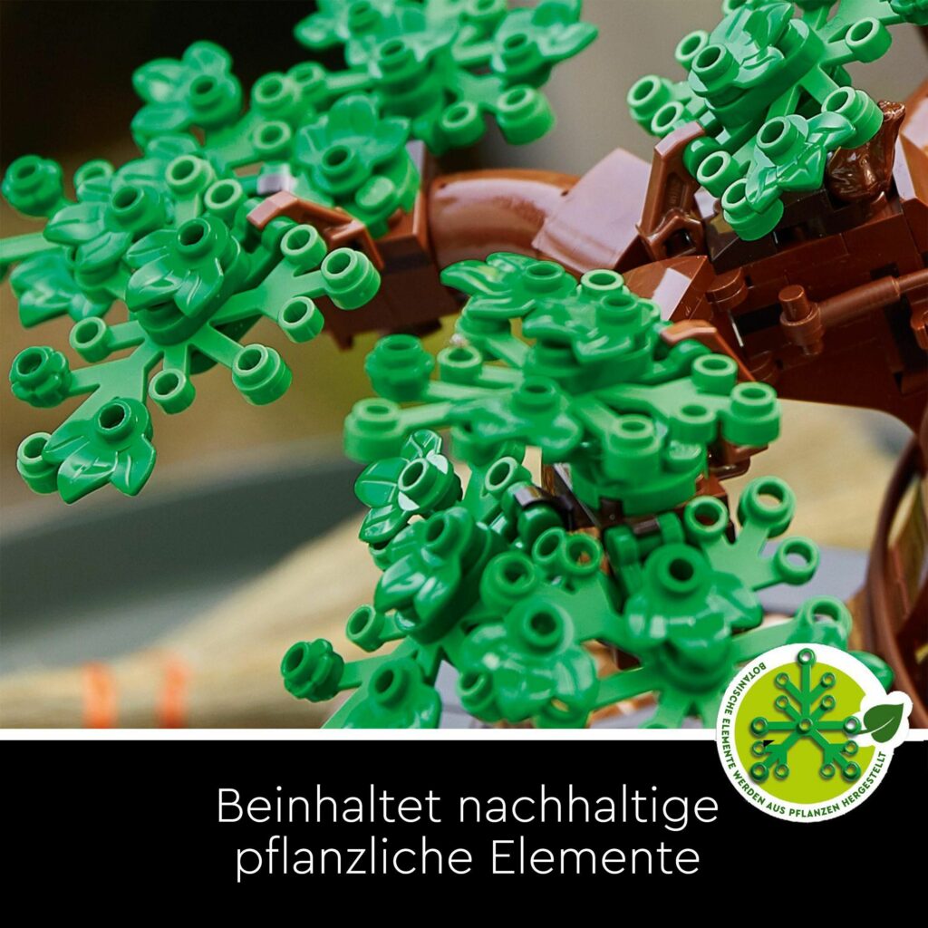 Produktabbildung Bonsai Baum