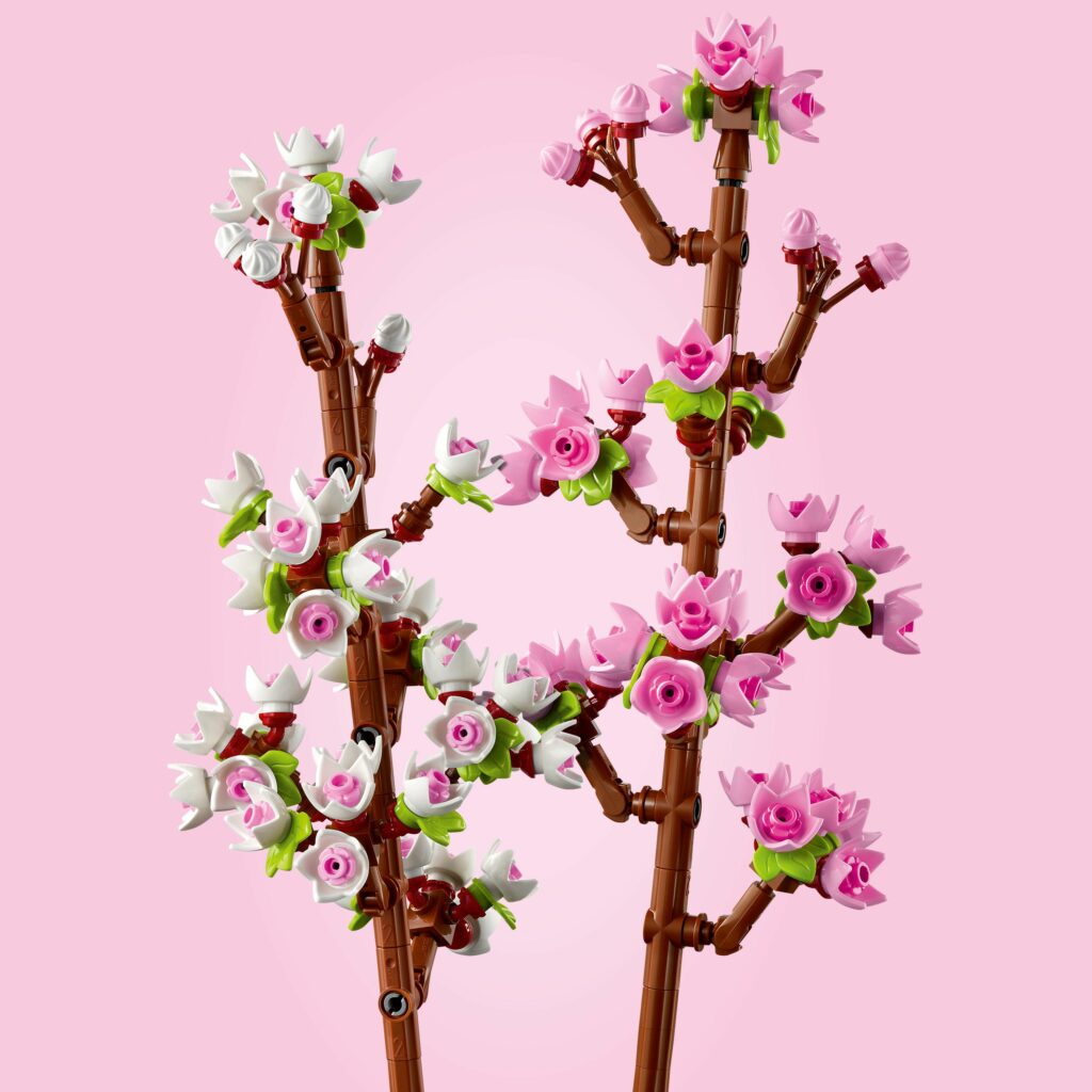 Produktabbildung Kirschblüten
