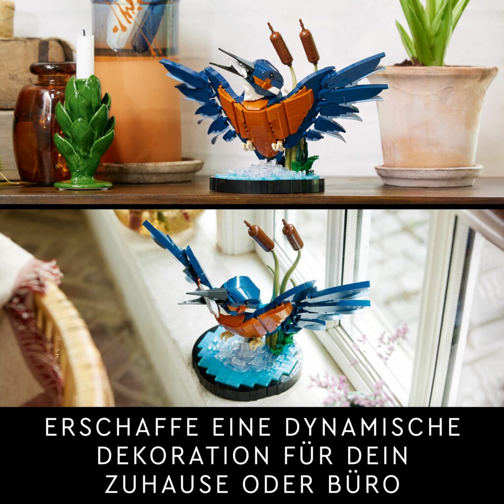 Produktabbildung Eisvogel