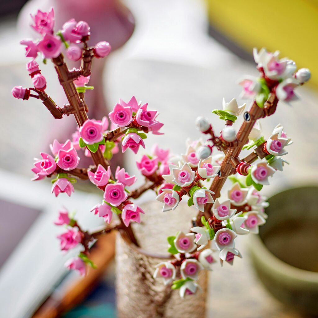 Produktabbildung Kirschblüten