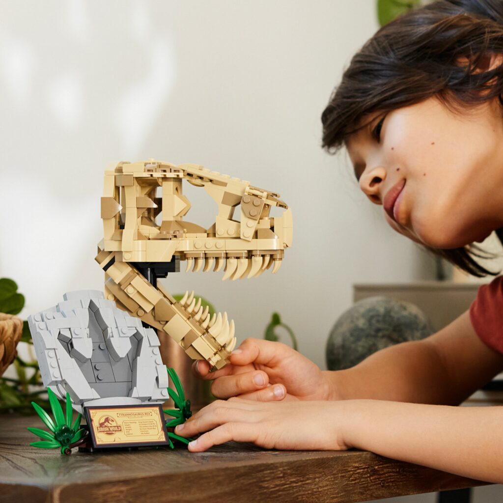 Produktabbildung Dinosaurier-Fossilien: T.-rex-Kopf