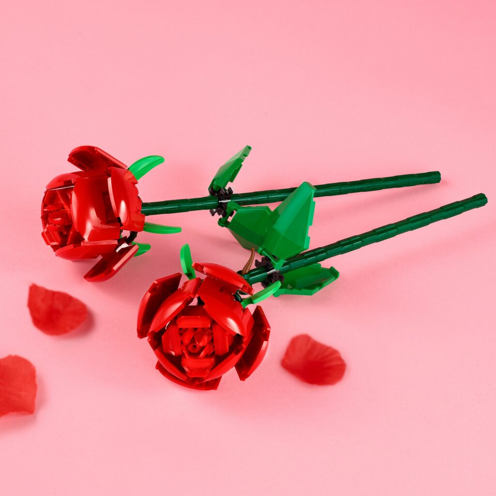 Produktabbildung Rosen