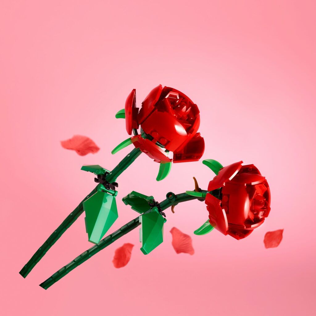Produktabbildung Rosen