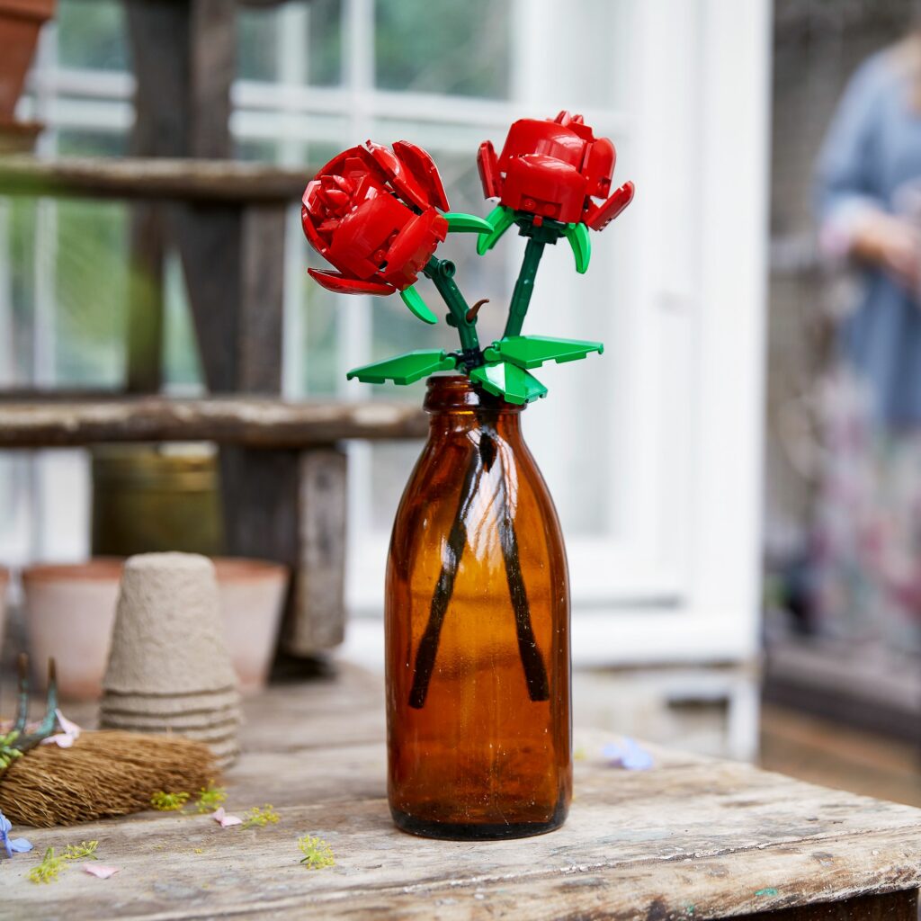 Produktabbildung Rosen