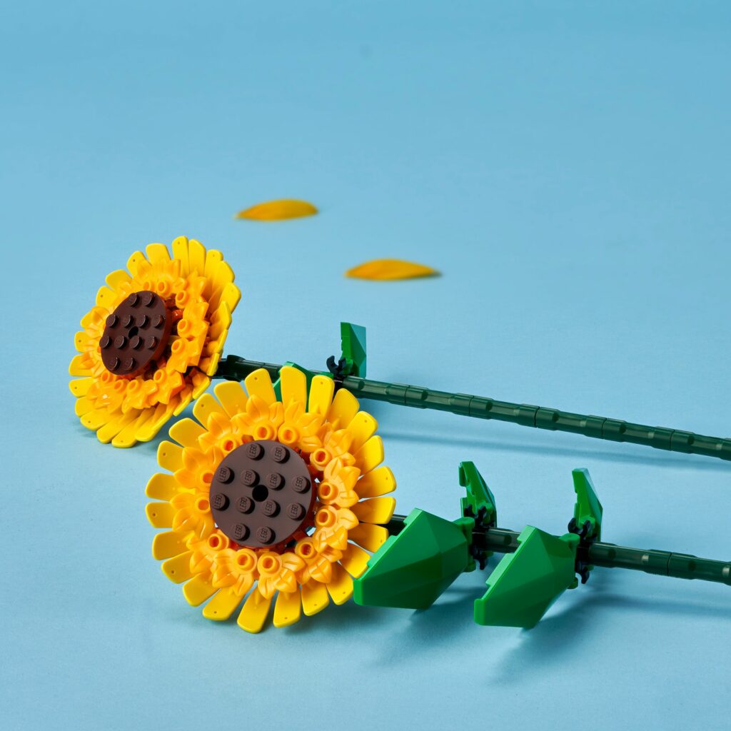 Produktabbildung Sonnenblumen