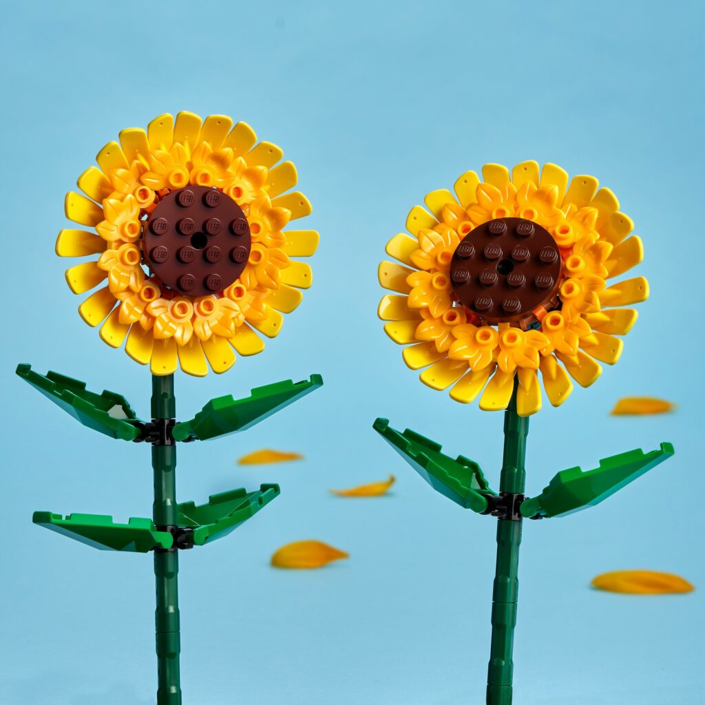 Produktabbildung Sonnenblumen