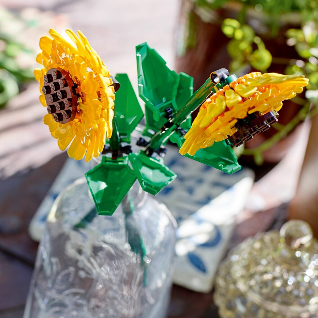 Produktabbildung Sonnenblumen