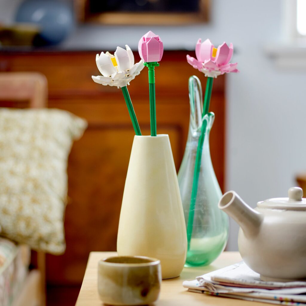 Produktabbildung Lotusblumen