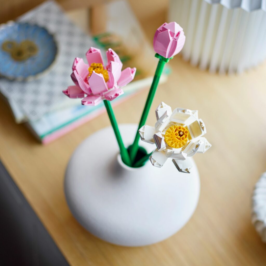 Produktabbildung Lotusblumen
