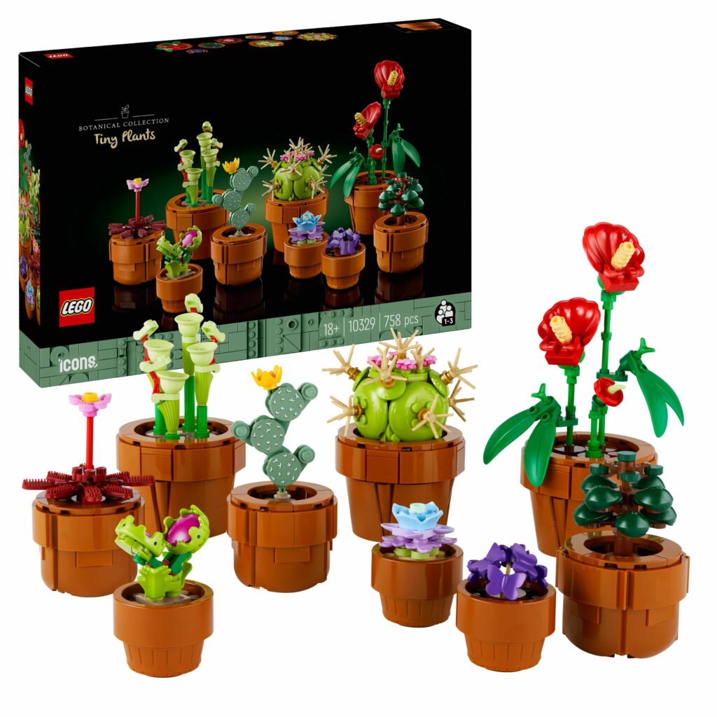 Produktabbildung Mini Pflanzen