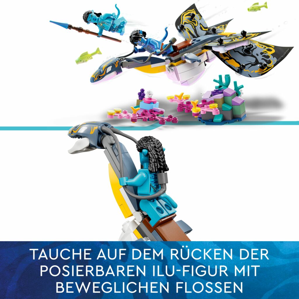Produktabbildung Entdeckung des Ilu