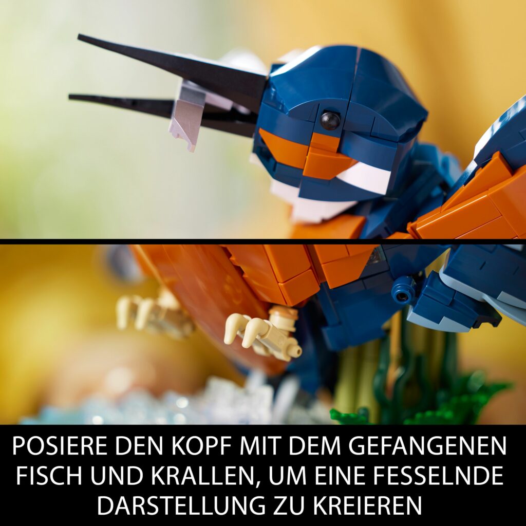 Produktabbildung Eisvogel