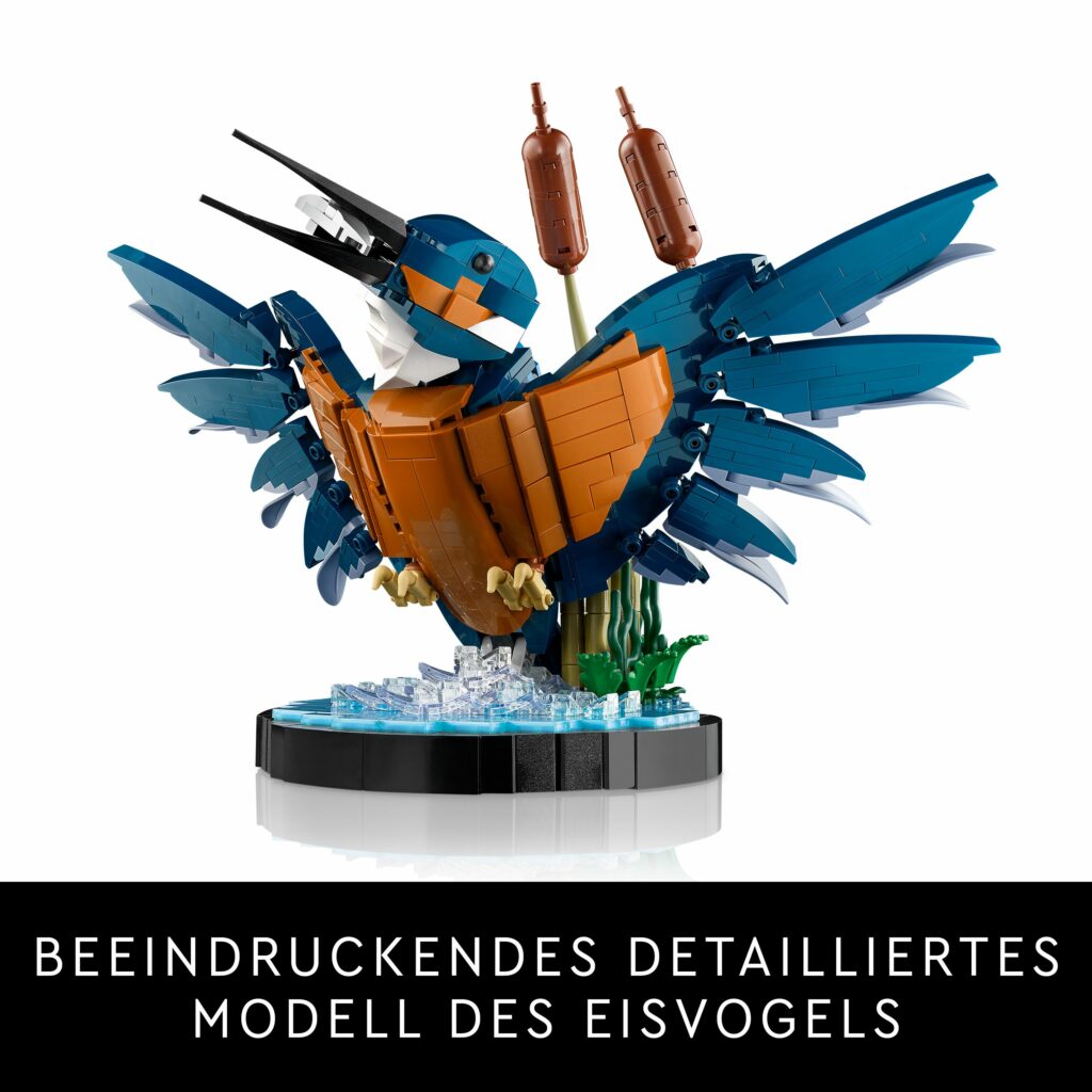 Produktabbildung Eisvogel