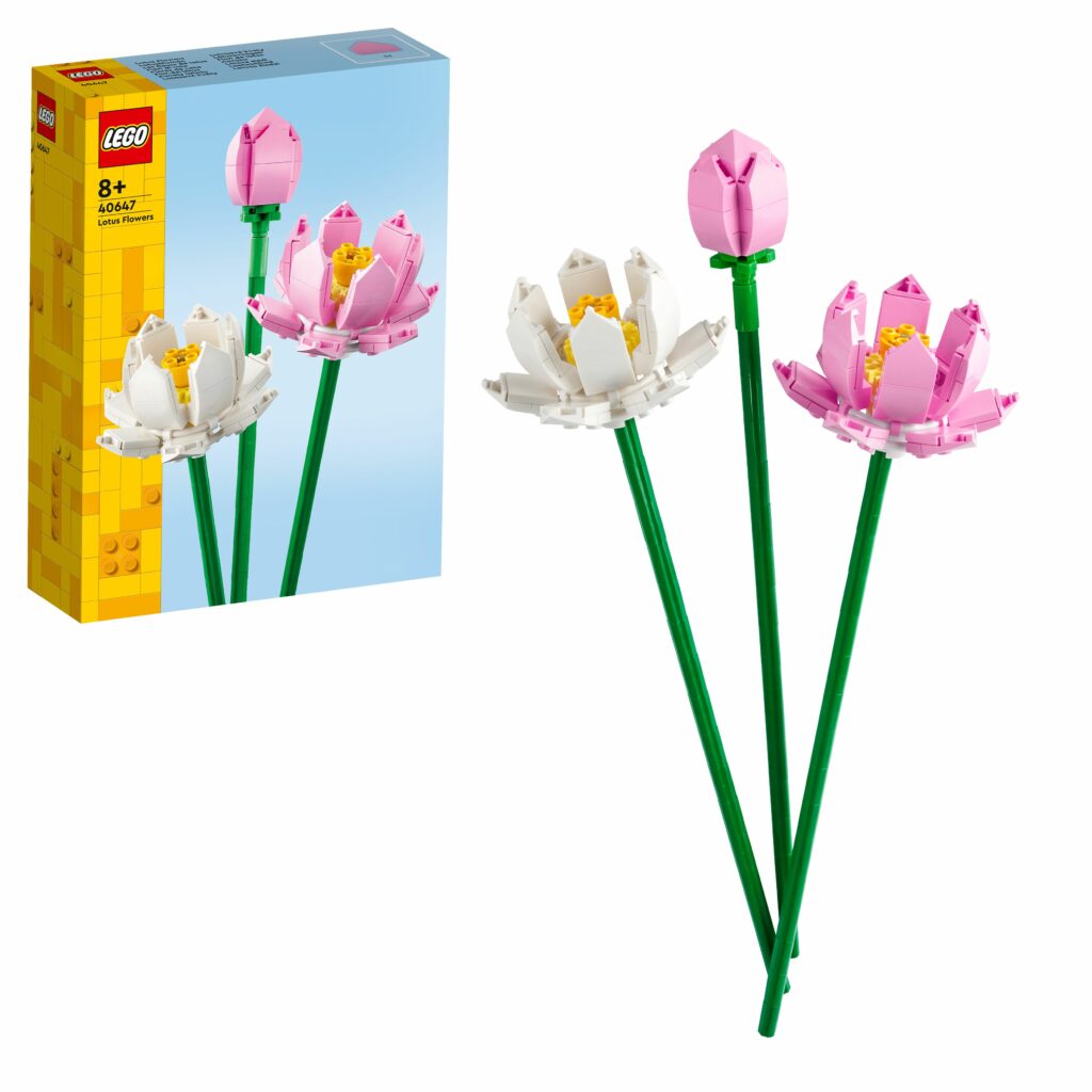 Produktabbildung Lotusblumen