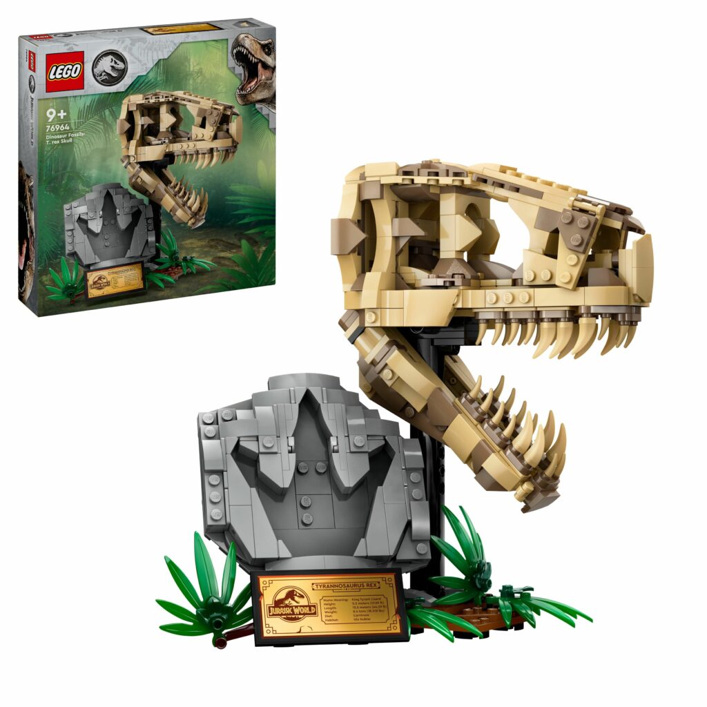 Produktabbildung Dinosaurier-Fossilien: T.-rex-Kopf