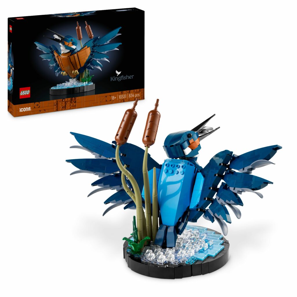 Produktabbildung Eisvogel