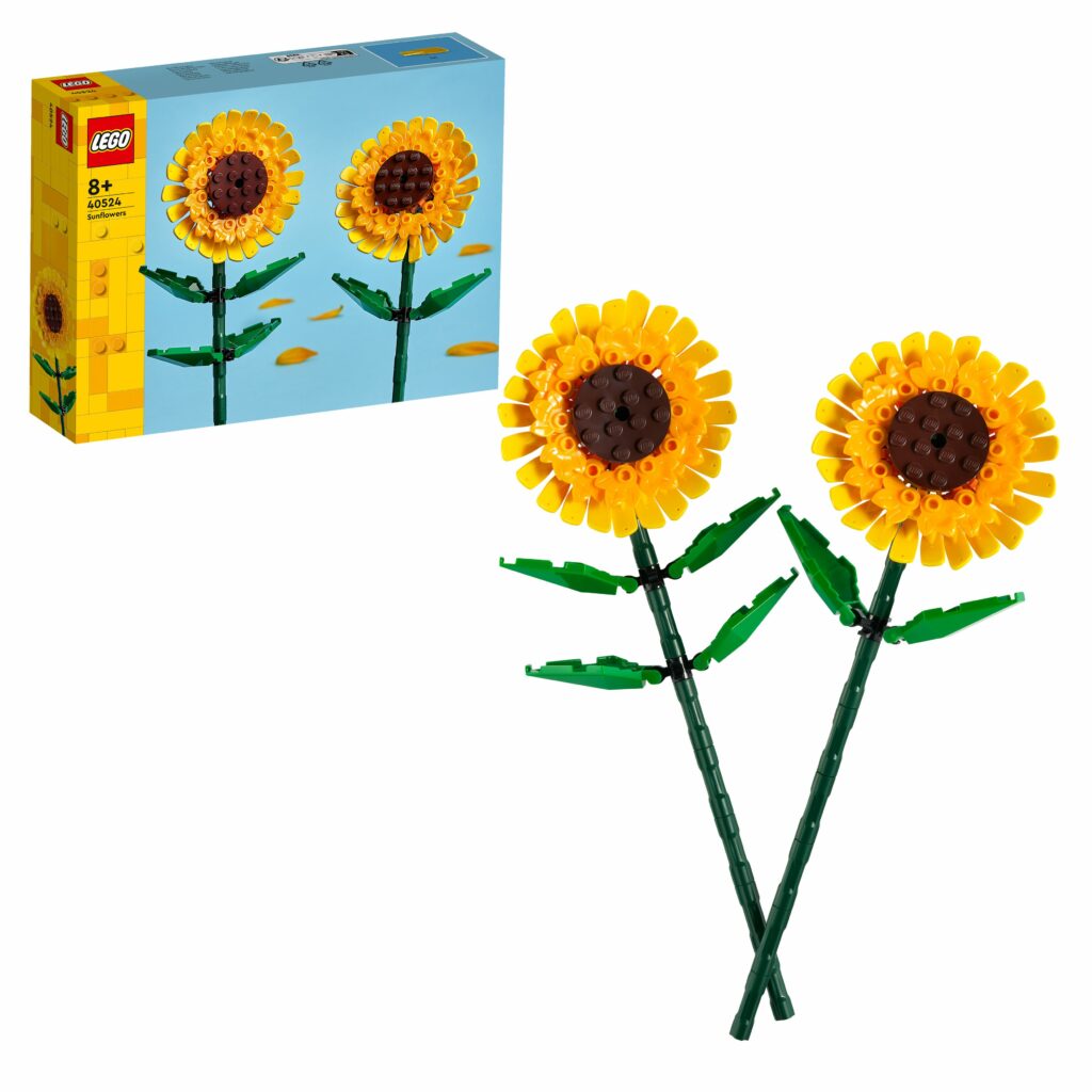 Produktabbildung Sonnenblumen