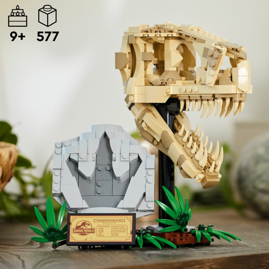 Produktabbildung Dinosaurier-Fossilien: T.-rex-Kopf