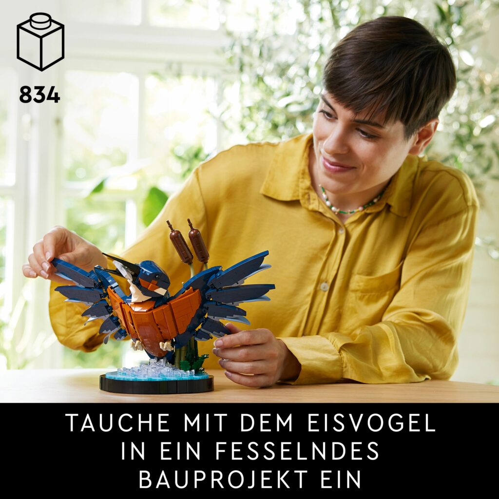 Produktabbildung Eisvogel
