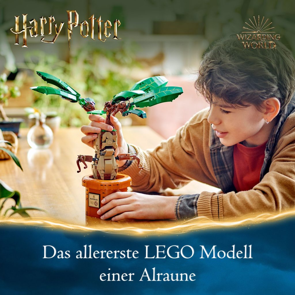 Produktabbildung Zaubertrankpflanze: Alraune