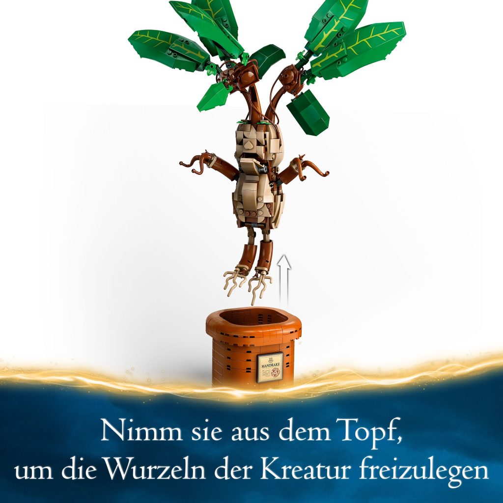 Produktabbildung Zaubertrankpflanze: Alraune