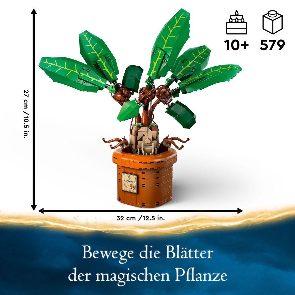 Produktabbildung Zaubertrankpflanze: Alraune