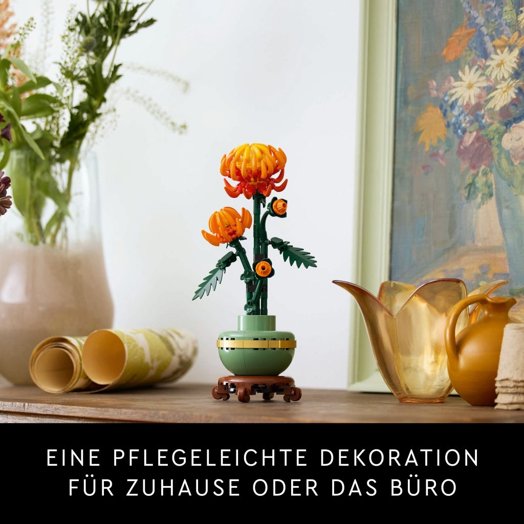 Produktabbildung Chrysantheme