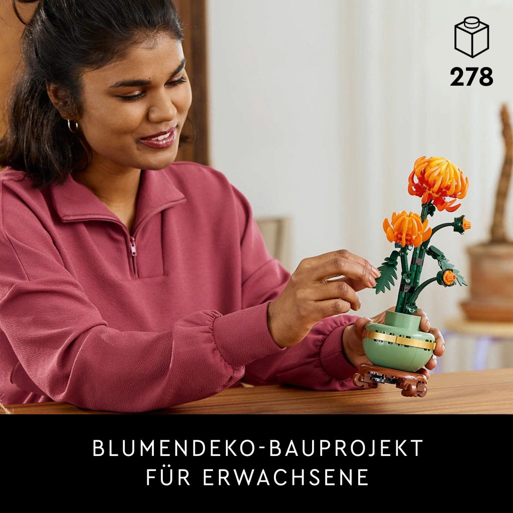 Produktabbildung Chrysantheme