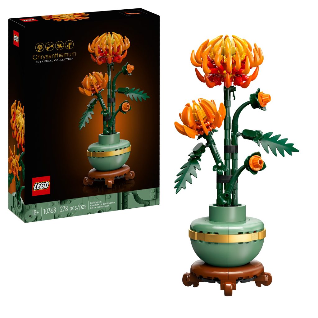 Produktabbildung Chrysantheme