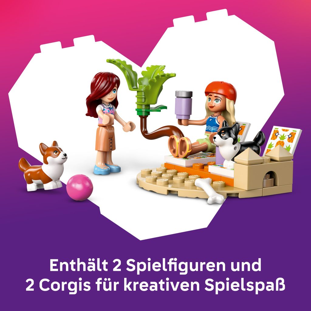 Produktabbildung Strandabenteuer mit Hunden