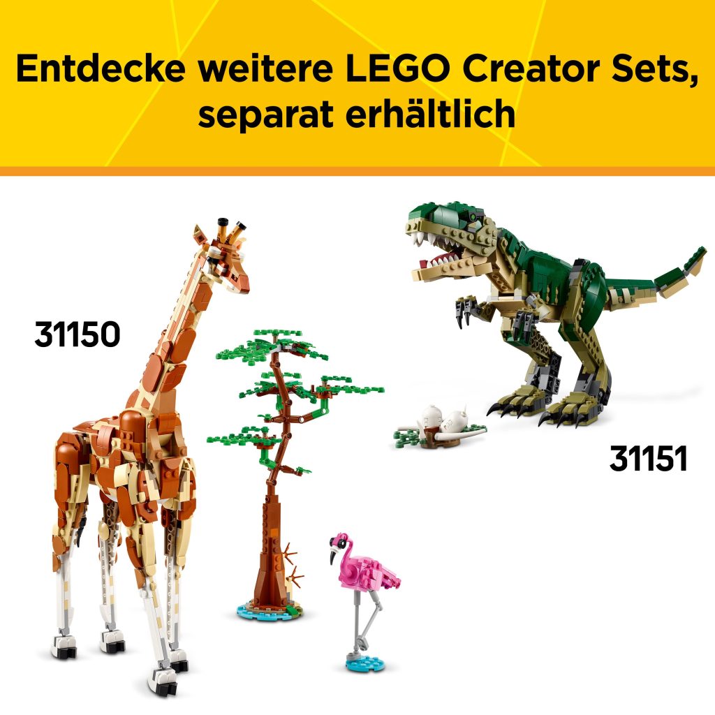 Produktabbildung Grüner Drache