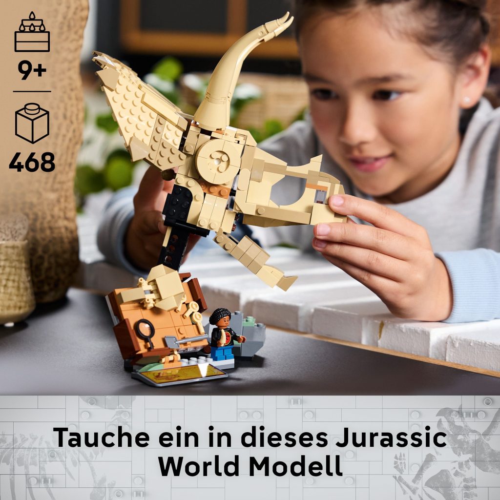 Produktabbildung Dinosaurier-Fossilien: Triceratops-Schädel