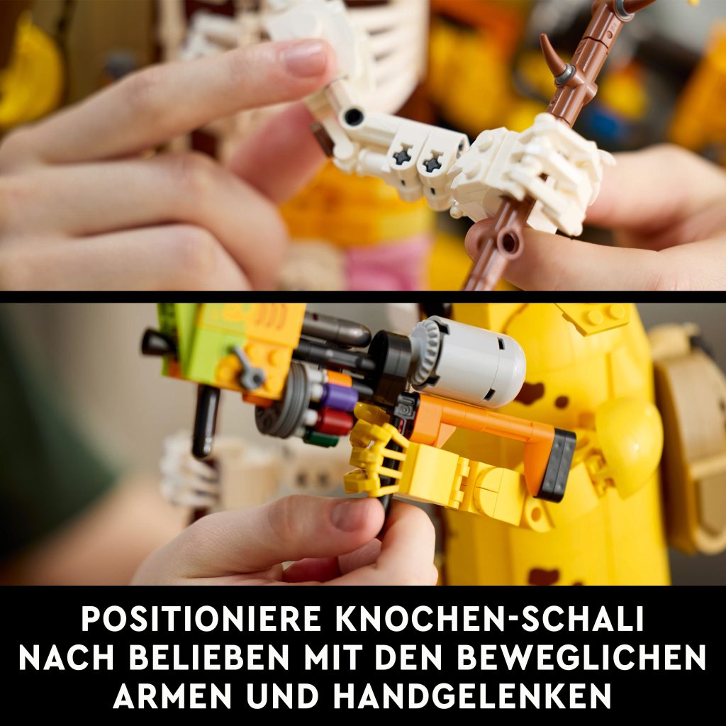 Produktabbildung Knochen-Schali