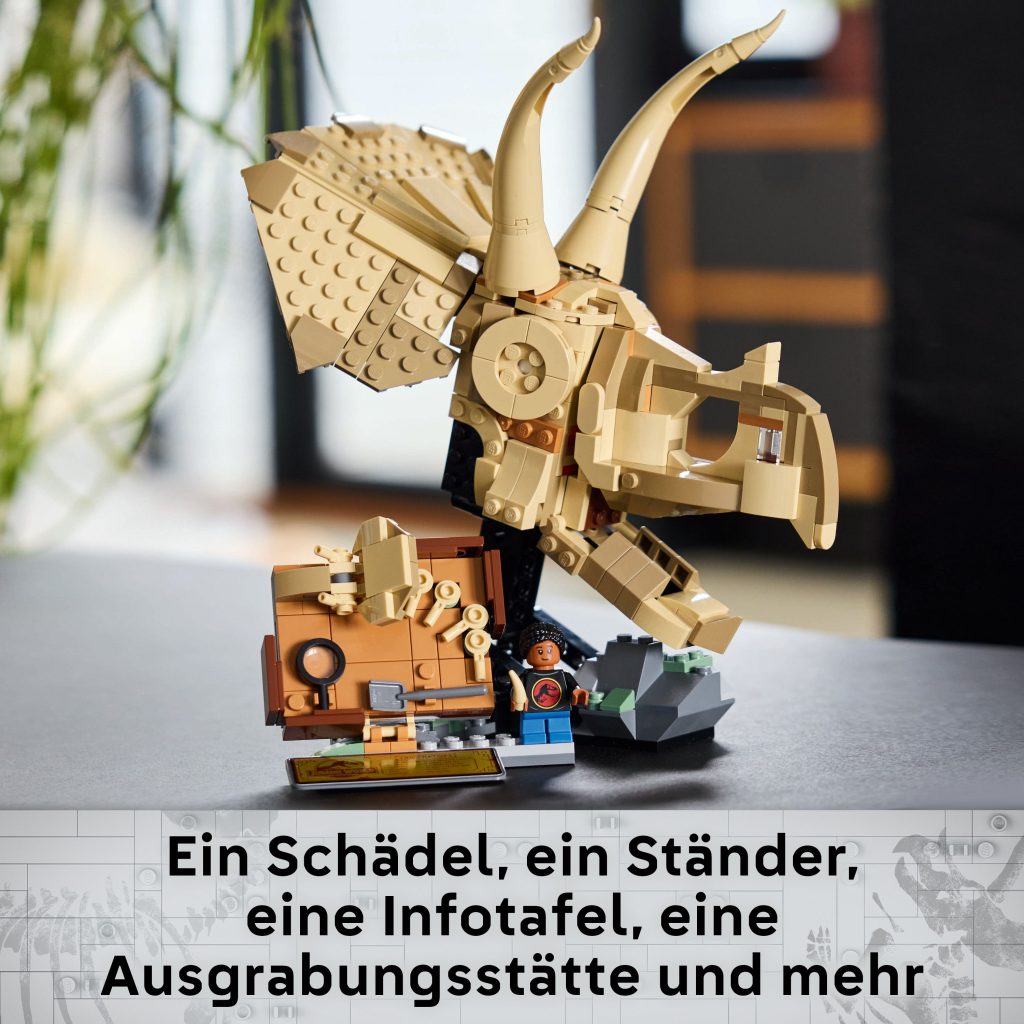 Produktabbildung Dinosaurier-Fossilien: Triceratops-Schädel