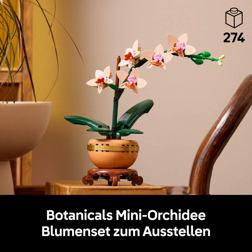 Produktabbildung Mini-Orchidee