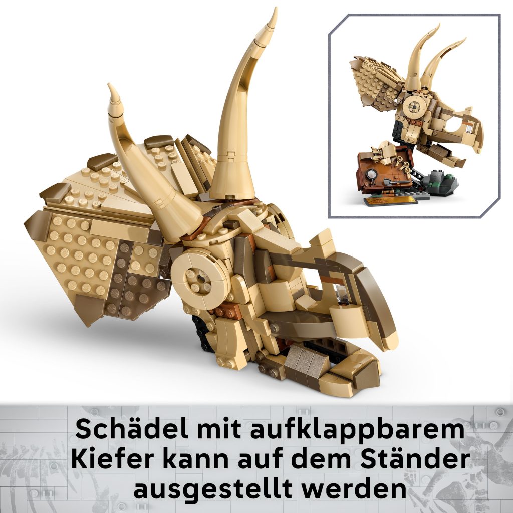 Produktabbildung Dinosaurier-Fossilien: Triceratops-Schädel