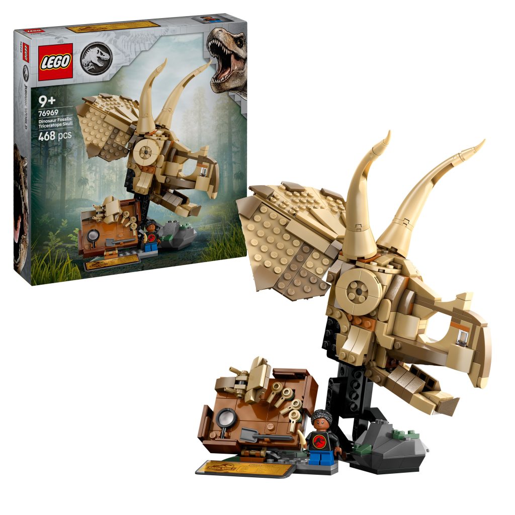 Produktabbildung Dinosaurier-Fossilien: Triceratops-Schädel
