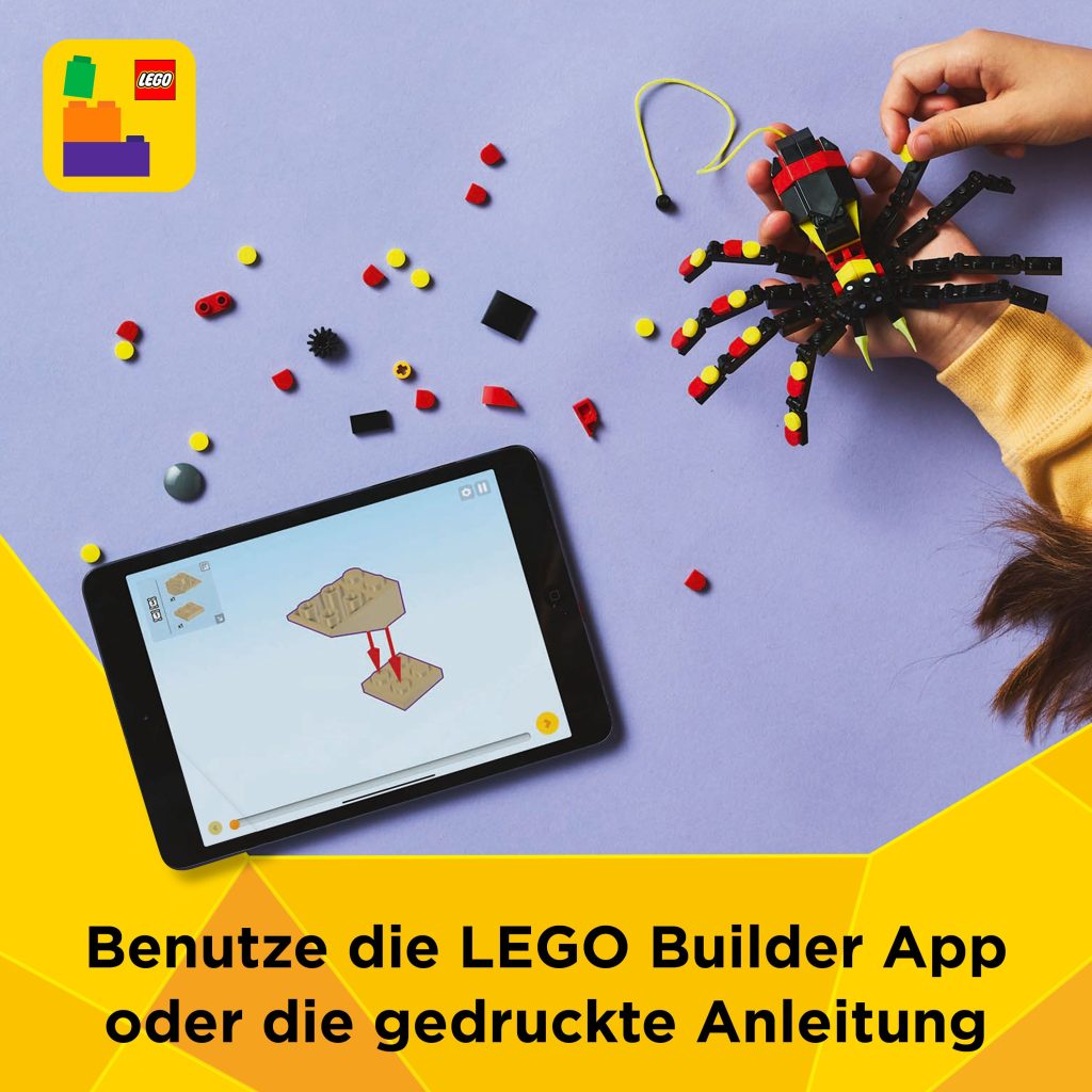 Produktabbildung Wilde Tiere: Überraschungsspinne