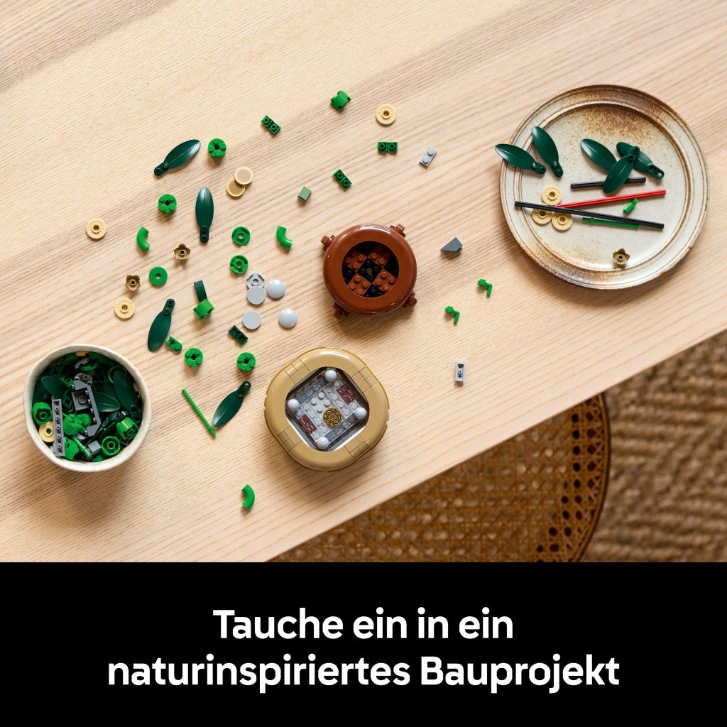 Produktabbildung Glücks-Bambus