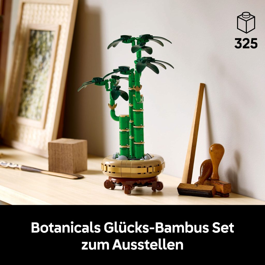 Produktabbildung Glücks-Bambus