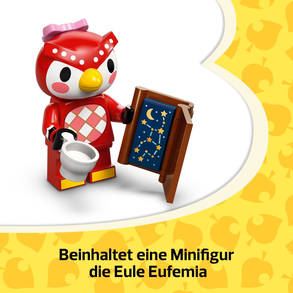 Produktabbildung Sternbeobachtung mit Eufemia