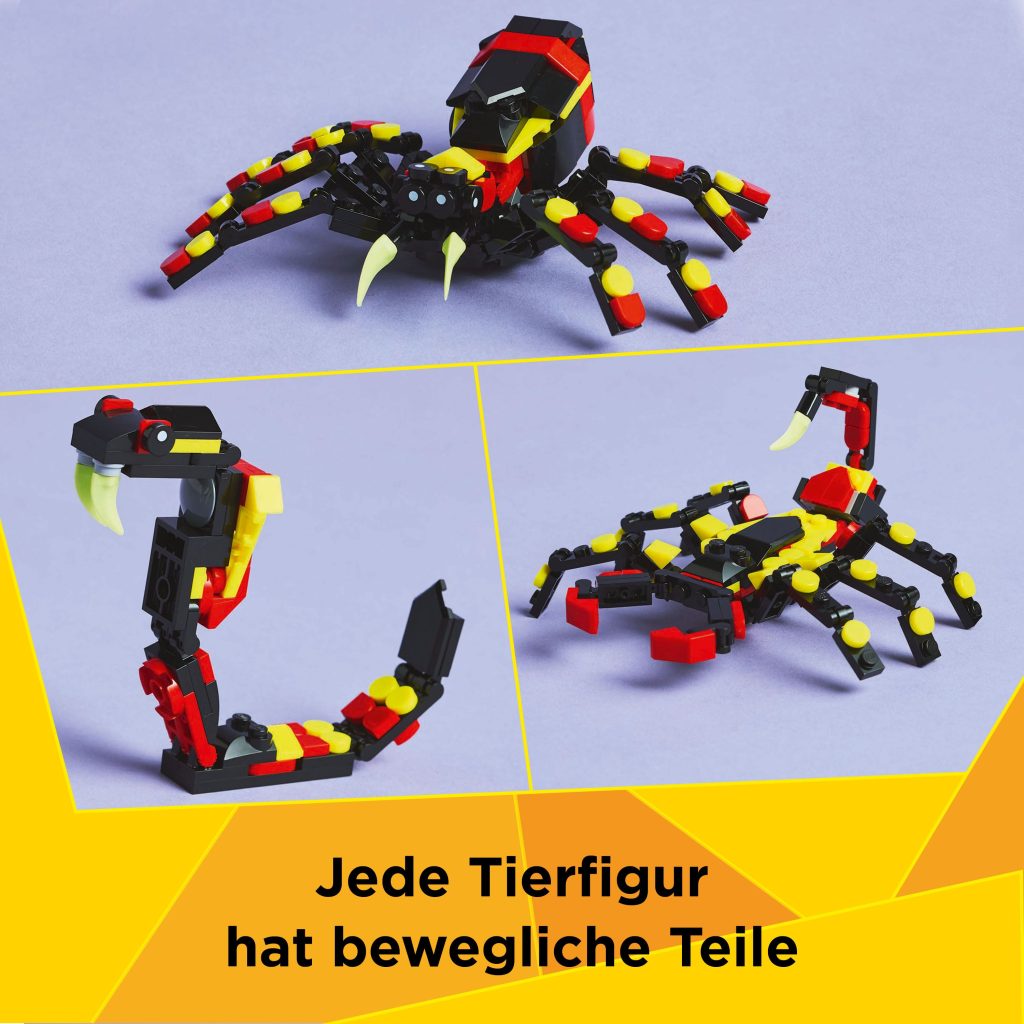 Produktabbildung Wilde Tiere: Überraschungsspinne