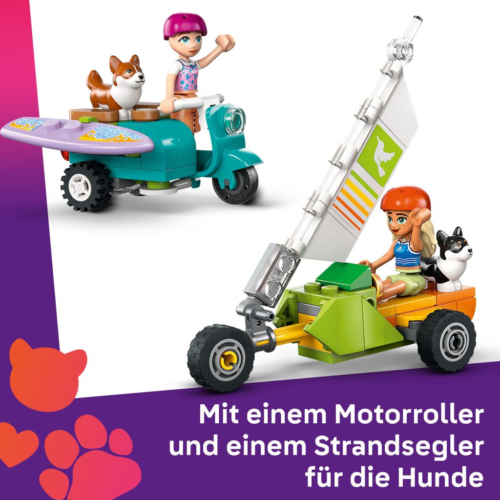 Produktabbildung Strandabenteuer mit Hunden