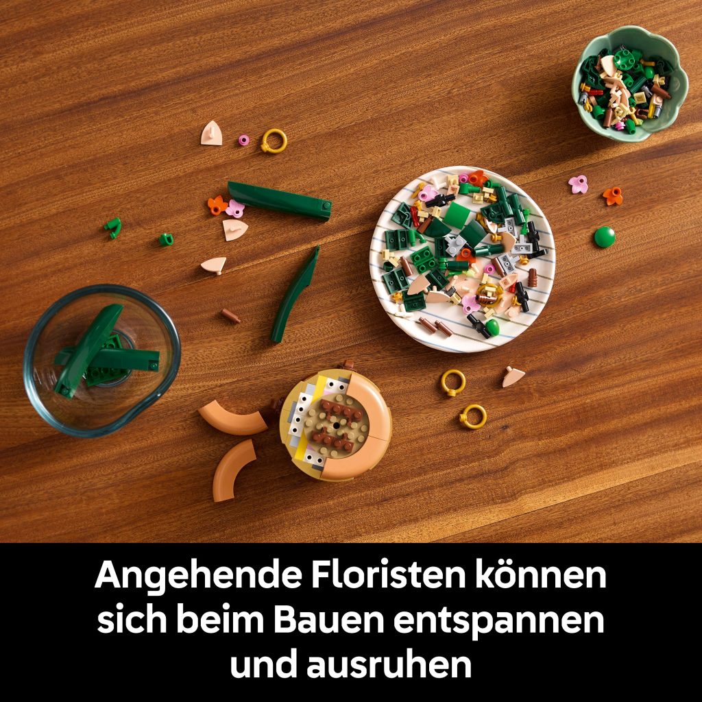 Produktabbildung Mini-Orchidee