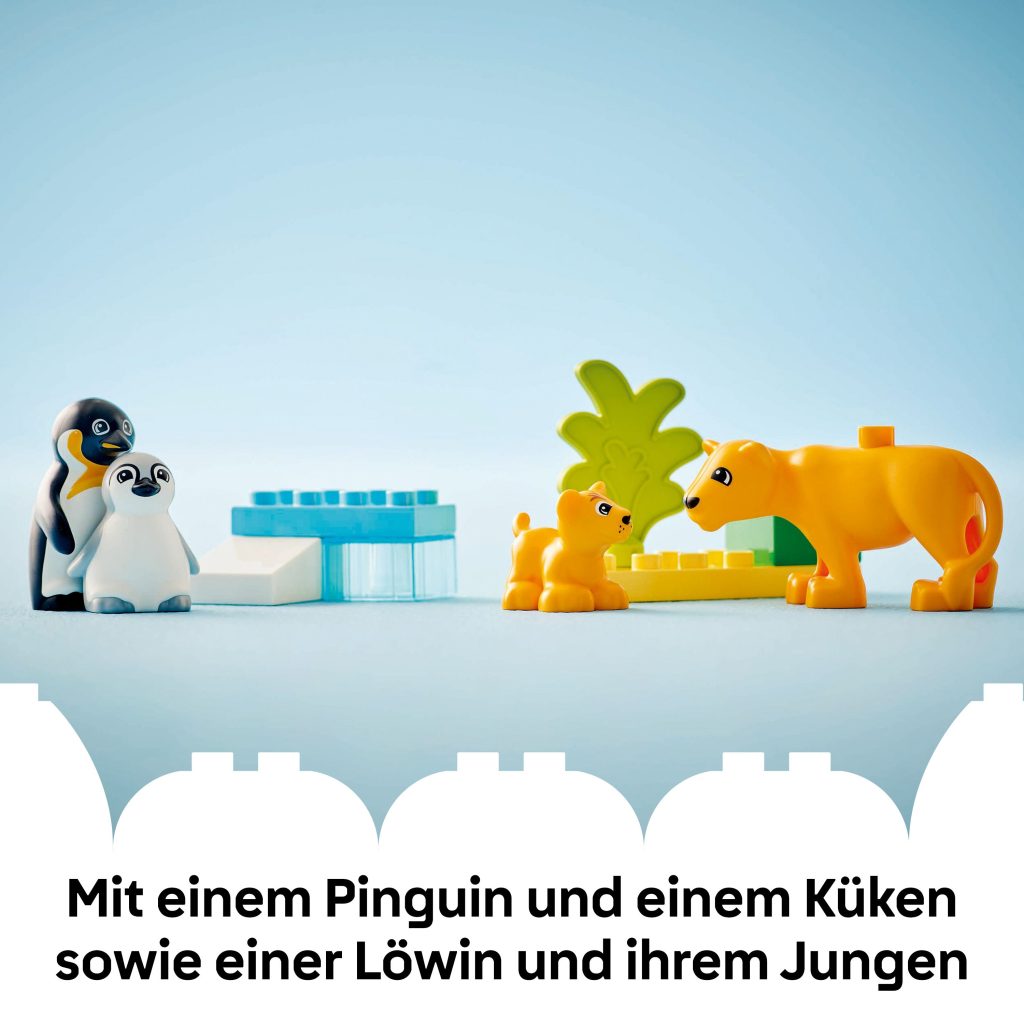 Produktabbildung Wildtier-Familien: Pinguine und Löwen
